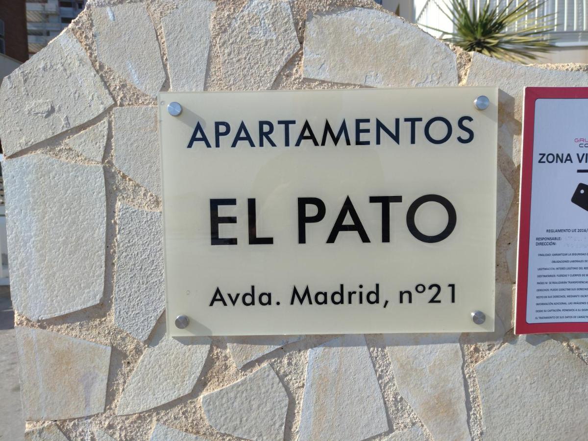 Living Benidorm. Playa Levante Esterno foto